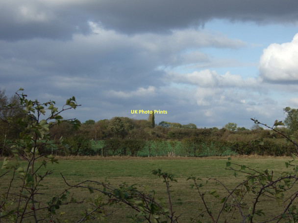 Photo 6"x4" Farmland off Mansfield Road Farnsfield c2011