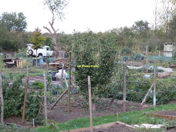 Photo 6"x4" Market garden, Edingley Edingley c2011