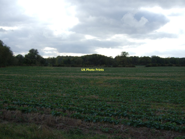 Photo 6"x4" Farmland off Lower Kirklington Road Southwell\/SK7053 c2011