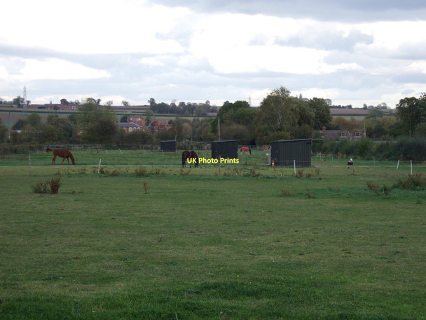 Photo 6"x4" Grazing land off Maythorne Lane Southwell\/SK7053 c2011