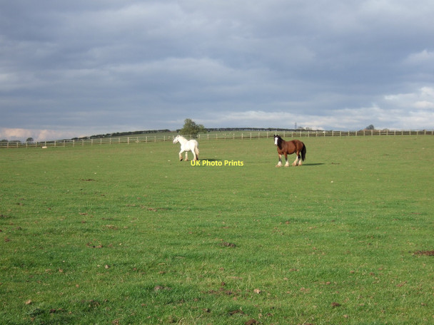 Photo 6"x4" Farmland near Upton Southwell\/SK7053 c2011