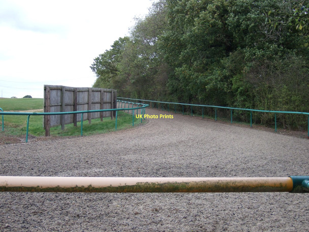 Photo 6"x4" Horse gallops, Averham Park Knapthorpe c2011