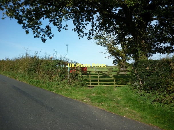 Photo 6"x4" A path off Broom House Lane Egton Bridge c2011
