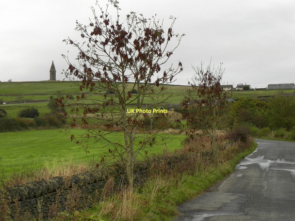 Photo 6"x4" Lily Lanes Mossley\/SD9701 c2011