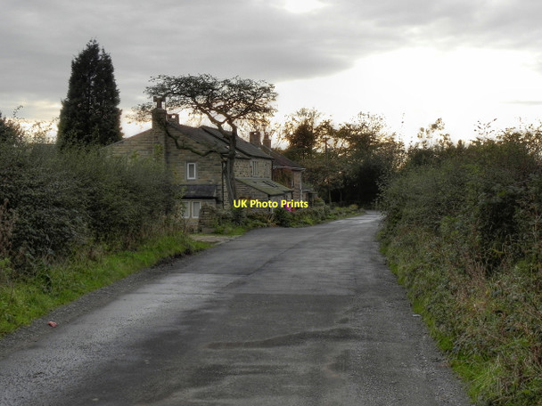 Photo 6"x4" Lily Lanes Mossley\/SD9701 c2011 P1