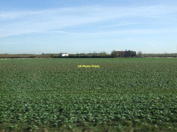 Photo 6"x4" Farmland near Trinity Farm Retford c2011