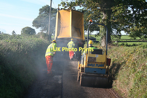 Photo 6"x4" Cullompton: Colebrooke Lane Colebrook c2011