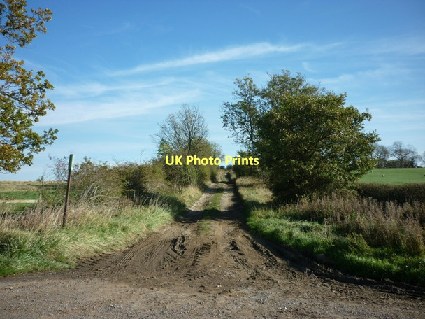 Photo 6"x4" A bridleway to Marton Marton\/SE7383 c2011