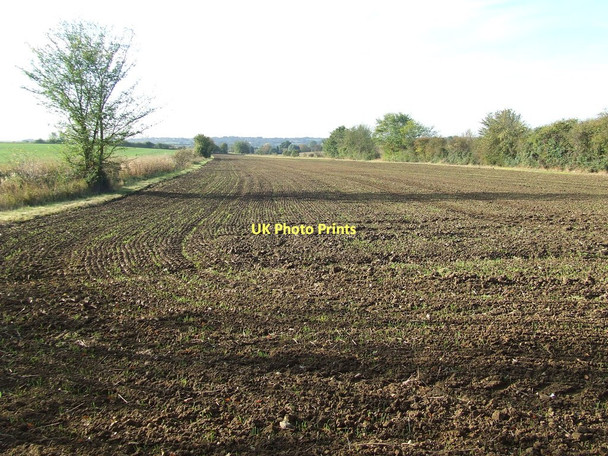 Photo 6"x4" Long Narrow Field Chilton Street c2011