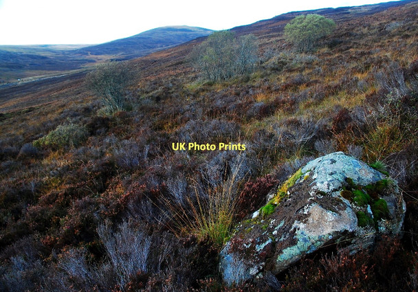 Photo 6"x4" Woodland near Allt a' Chraig Pittentrail c2011
