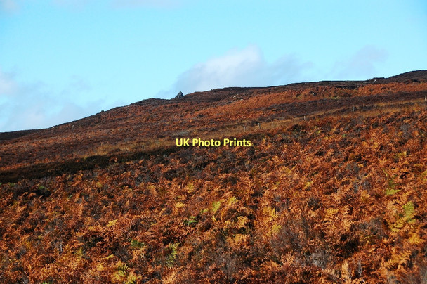 Photo 6"x4" Heather moorland and hut circles Ardachu c2011