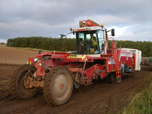 Photo 6"x4" Grimme Varitron 200 Potato Harvester Lambden c2011