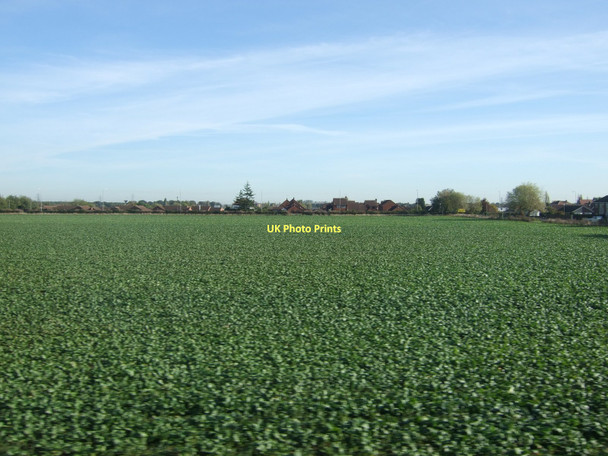 Photo 6"x4" Farmland near Retford Retford c2011