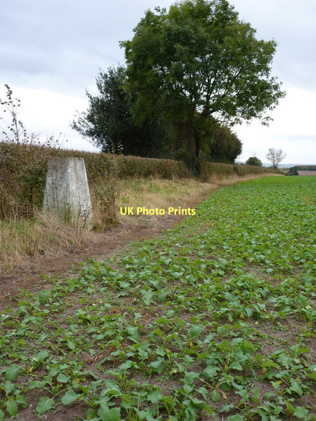 Photo 6"x4" The trig on Orton Hill Lower Penn c2011