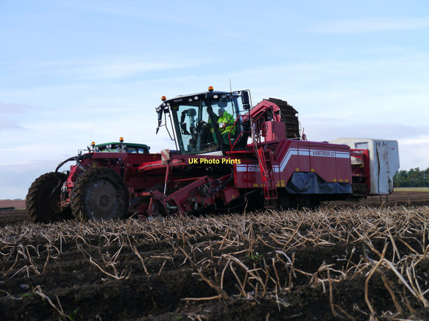 Photo 6"x4" Potato Harvesting North Of Chapel Wood - Image #2 Lambden c2011