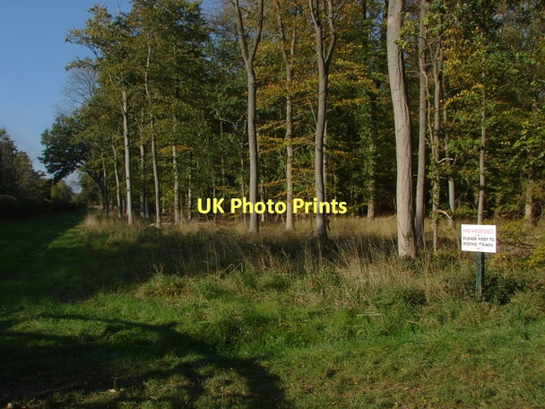 Photo 6"x4" Windsor Forest Winkfield Place c2011