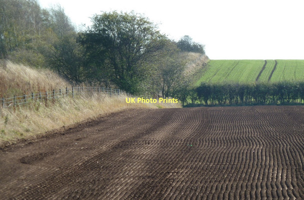 Photo 6"x4" Ploughed field by former railway line Elmton c2011