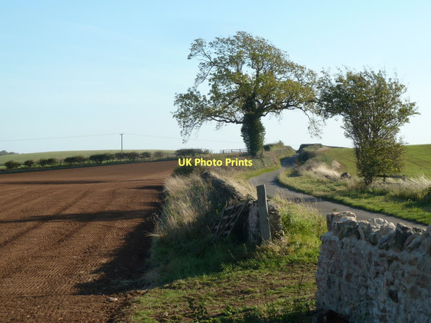 Photo 6"x4" By Frithwood Lane Elmton c2011