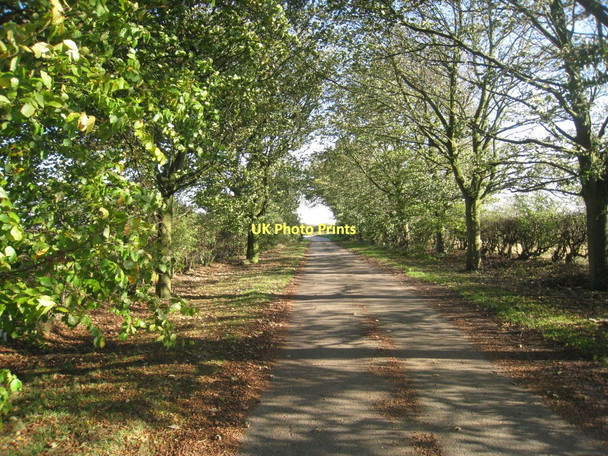 Photo 6"x4" Wolds avenue Stainton le Vale c2011