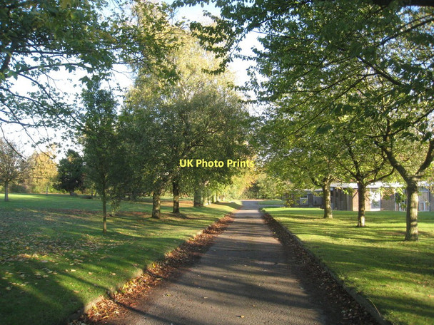 Photo 6"x4" Autumn at Brookenby Brookenby c2011