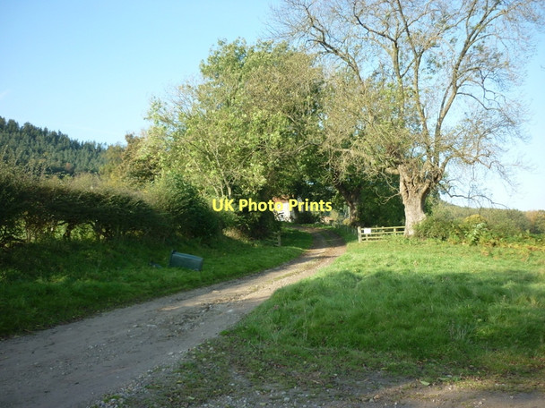 Photo 6"x4" The entrance to Cowhouse Bank Farm Carlton\/SE6086 c2011
