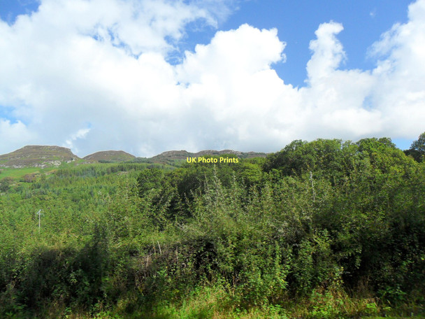 Photo 6"x4" Woodland below Dun Mor near Dunira Dunira c2011