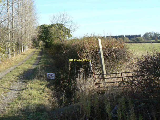 Photo 6"x4" Track and footpath Stanton-on-the-Wolds c2011