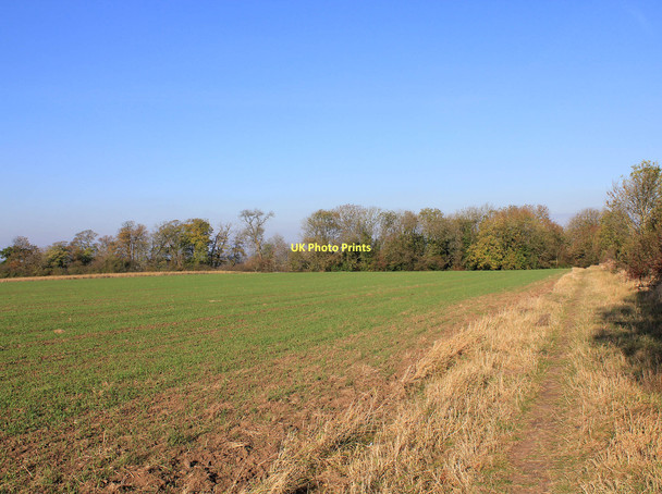 Photo 6"x4" Small nameless wood on footpath to Radford Semele Harbury c2011