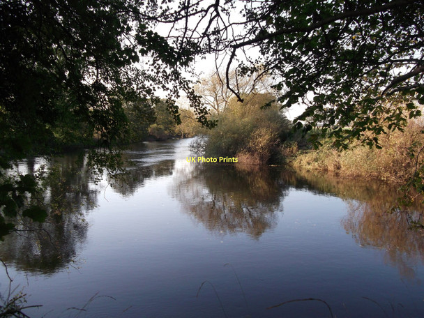 Photo 6"x4" Upstream River Wharfe through the trees Thorp Arch c2011
