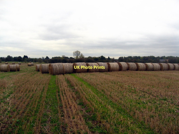 Photo 6"x4" Field northeast of Egginton Egginton c2011