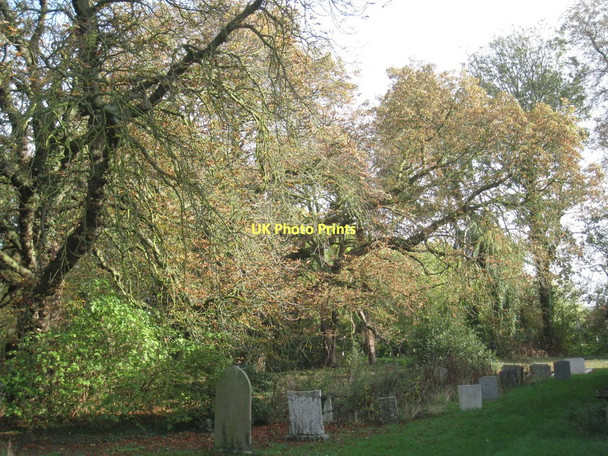 Photo 6"x4" The north side of the churchyard, Treswell Treswell c2011