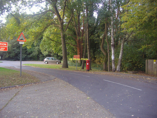 Photo 6"x4" Albury Close, Longcross Longcross\/SU9865 c2011