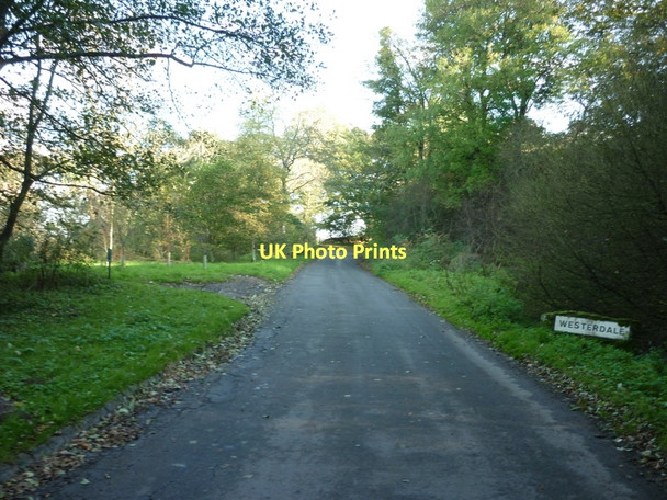 Photo 6"x4" Entering Westerdale, North Yorkshire Westerdale\/NZ6605 c2011