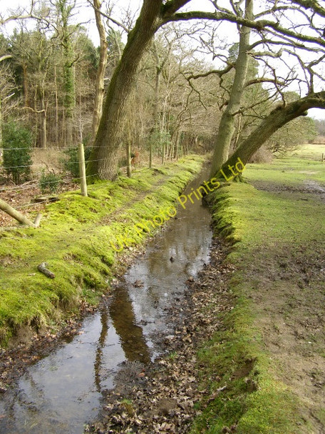 Photo 6"x4" Drainage ditch alongside the Churchplace Inclosure, New Forest Ashurst\/SU3310 c2006