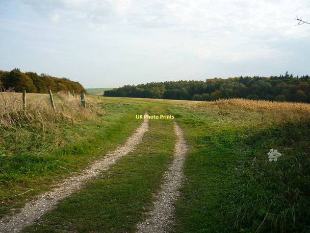 Photo 6"x4" Old Street byway East Ginge c2011