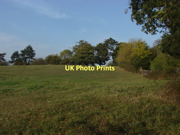 Photo 6"x4" Field near Dedworth Clewer Green c2011