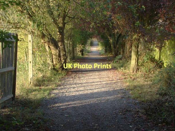 Photo 6"x4" Footpath, Dedworth Clewer Green c2011