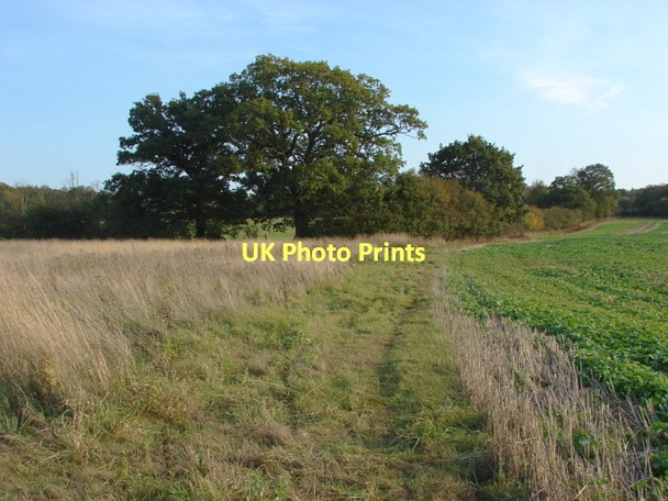 Photo 6"x4" Fields near Oakley Green Oakley Green c2011