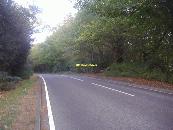 Photo 6"x4" B386 Longcross Road Longcross\/SU9865 c2011