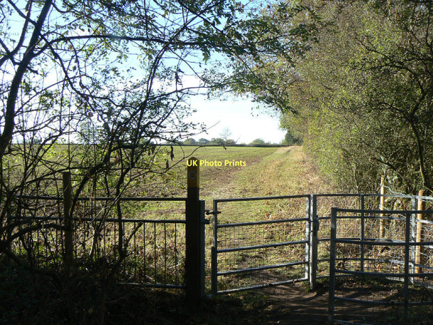 Photo 6"x4" Footpath to Stanton Stanton-on-the-Wolds c2011