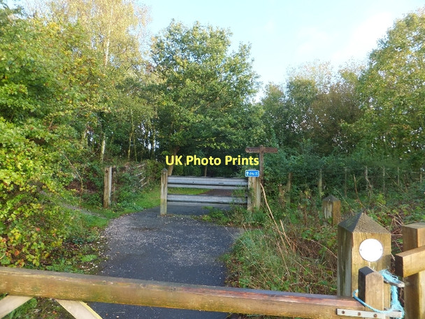 Photo 6"x4" Hockenhull Lane Tarvin c2011