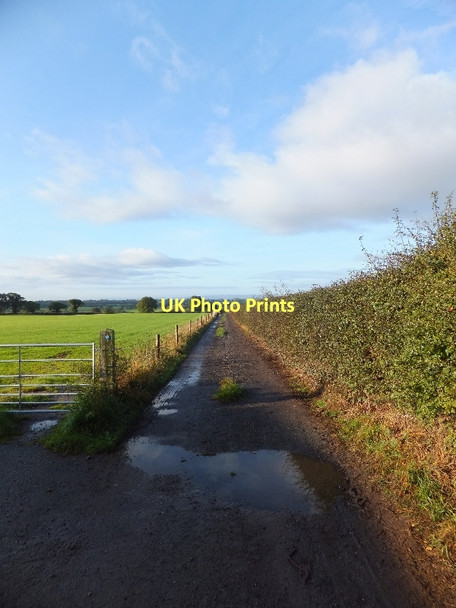 Photo 6"x4" Farm track and bridleway (Baker Way) Tarvin c2011