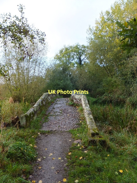 Photo 6"x4" The westernmost packhorse bridge at Hockenhull Platts Tarvin c2011