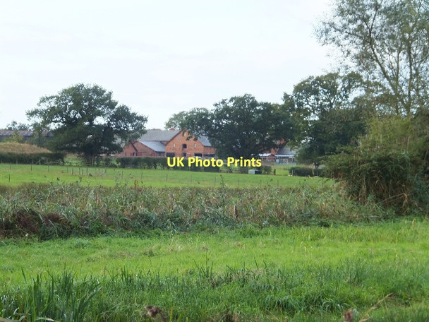 Photo 6"x4" Cotton Farm Tarvin c2011