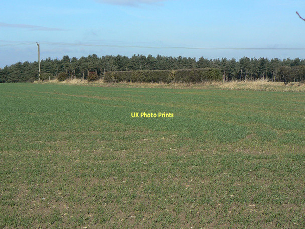 Photo 6"x4" View towards Cotgrave Forest Clipston\/SK6334 c2011