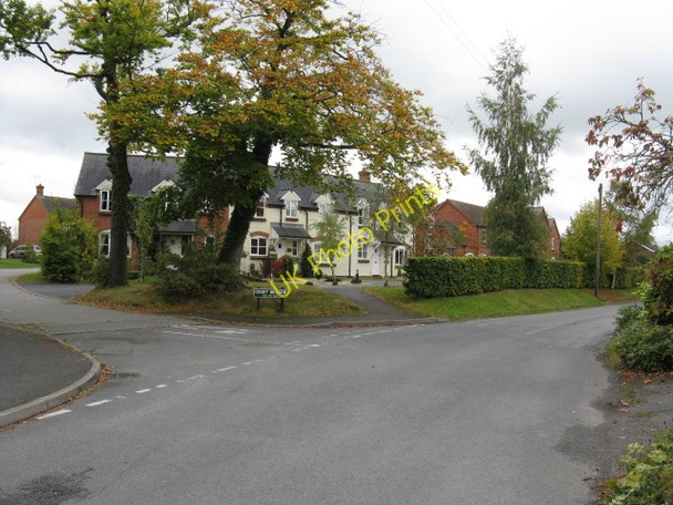 Photo 6"x4" Pembridge - Court Meadow Bearwood\/SO3856 c2009