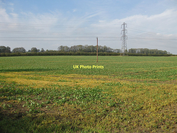 Photo 6"x4" Power lines in farmland Malton\/SE7871 c2011
