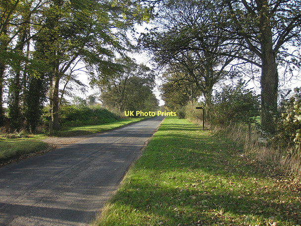 Photo 6"x4" Bridleway to Musley Bank Malton\/SE7871 c2011