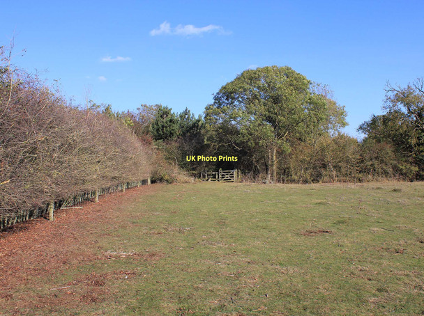 Photo 6"x4" Footpath from Harbury to Southam Bascote Heath c2011