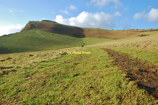 Photo 6"x4" Thorncombe Beacon: View along coastal path towards the Beacon Bridport c2010
